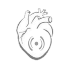 echoesCARDIO echoesCARDIO